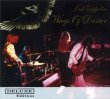 画像1: LED ZEPPELIN / WINGS OF DESIRE 【2CD】 (1)